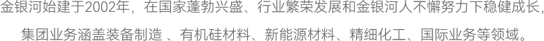 金銀河始建于2002年，在國(guó)家蓬勃興盛、行業(yè)繁榮發(fā)展和金銀河人不懈努力下穩(wěn)健成長(zhǎng)，
集團(tuán)業(yè)務(wù)涵蓋裝備制造 、有機(jī)硅材料、新能源材料、精細(xì)化工、國(guó)際業(yè)務(wù)等領(lǐng)域。